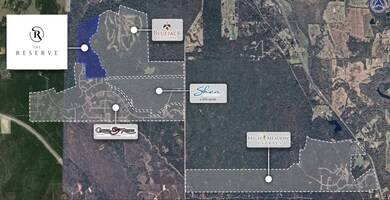 26524 Spy Glass Hill Dr, Montgomery, TX 77356 - photo 5