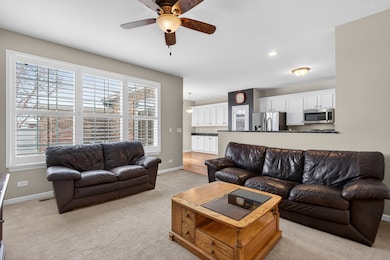 234 Longview Dr, Elgin, IL 60124 - photo 6