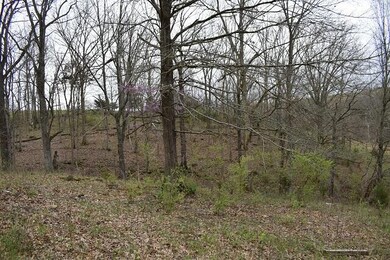 2300 Glensboro Rd, Lawrenceburg, KY 40342 - photo 7