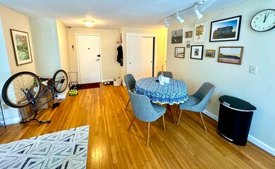 133 Beaconsfield Rd unit 33, Brookline, MA 02445 - photo 3