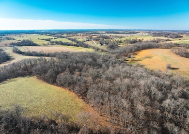 DJI_20241219091243_0010_D