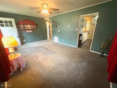 920 W Wilson St, Salem, OH 44460 - photo 2