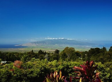 15231 Haleakala Hwy, Kula, HI 96790 - photo 6