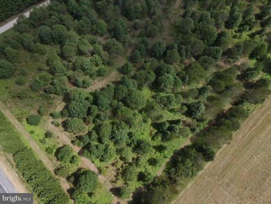 LOT 1 Rt 18 Seashore Hwy, Georgetown, DE 19947 - photo 5