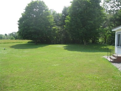 Lawn in front of the house