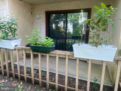 107 S Lansdowne Ave unit 101, Lansdowne, PA 19050 - photo 4