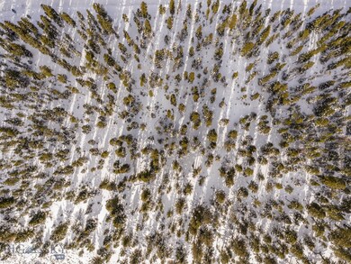 Lot 25 Skywood Rd, Big Sky, MT 59716 - photo 6
