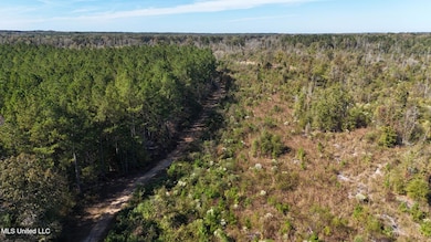 0 County Road 1327, Philadelphia, MS 39350 - photo 6