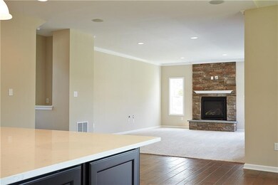 Large Family Room with Heat N Glo direct vent gas 