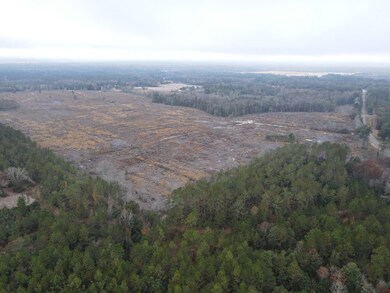 25 acres Goat Hill Rd, Samson, AL 36477 - photo 4