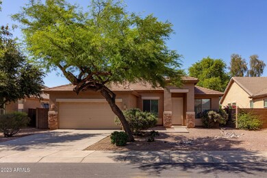 Kingbird (2).jpg-SMALL