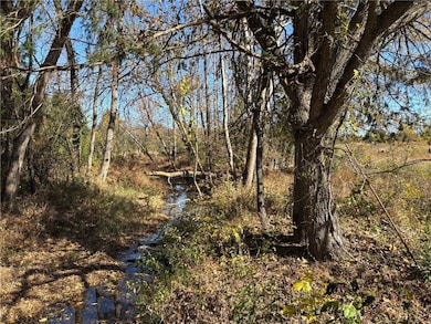 0 State Highway 374, Saint Joe, AR 72675 - photo 3