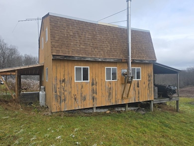 0WP Piety Hill Rd, Cincinnatus, NY 13040 - photo 3