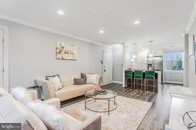 4506 36th St S unit B2, Arlington, VA 22206 - photo 7