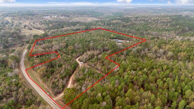 2528 Farm To Market Road 1798 W, Laneville, TX 75667 - photo 4