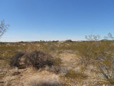 22410 W El Grande Trail unit 41, Wickenburg, AZ 85390 - photo 3