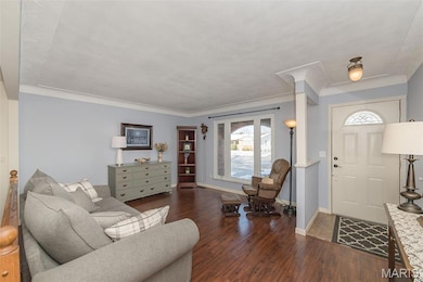 14 S Joyce Ellen Way, Saint Peters, MO 63376 - photo 5