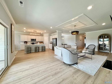 132 Stockholm Ln, Huntsville, AL 35811 - photo 5