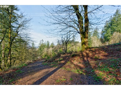 12505 NW Germantown Rd, Portland, OR 97231 - photo 5