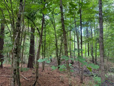 View of woods