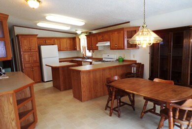 10059 Pocket Pkwy SW, Alexandria, MN 56308 - photo 5