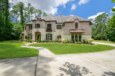 10233 S Autumn Leaf Cir, Magnolia, TX 77354 - photo 3