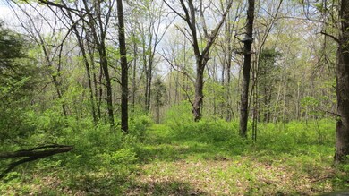 Gorgeous Wooded Setting