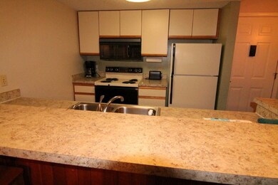 164 Deer Park Dr unit 166D, Woodstock, NH 03262 - photo 3