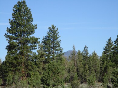 17820 Mountain View Rd, Sisters, OR 97759 - photo 4