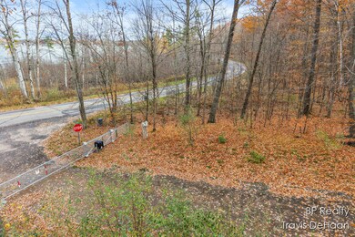 9310 Benjamin Dr, Newaygo, MI 49337 - photo 6