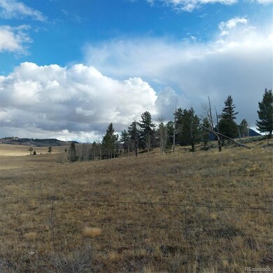 0 Singletree Rd unit REC7886163, Buena Vista, CO 81211 - photo 5