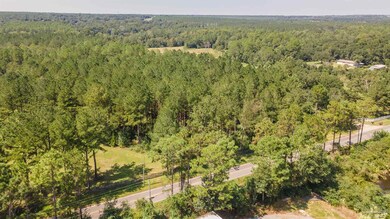 7401 Klondike Rd unit Lot 1, Pensacola, FL 32526 - photo 6