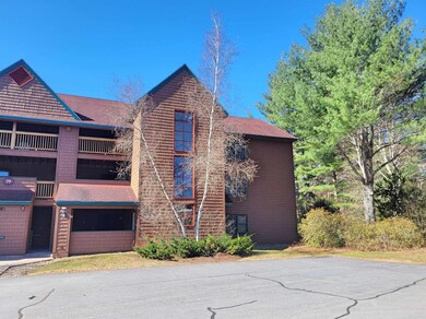 79 Riverfront Dr unit 194, Woodstock, NH 03262 - photo 2