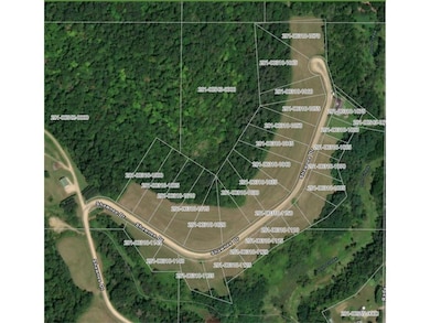 S1517 Shawnee Dr, Alma, WI 54610 - photo 2