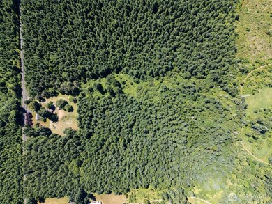 0 Kiser Rd unit 24178603, Ethel, WA 98542 - photo 3