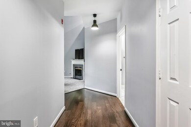 11306 Westbrook Mill Ln unit 301, Fairfax, VA 22030 - photo 4