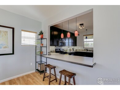 345 Osiander St, Fort Collins, CO 80524 - photo 4