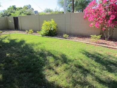 Grass back yard w/Block fence