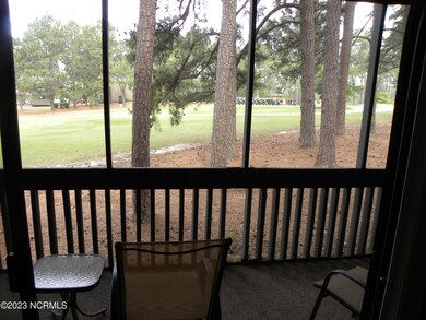 Screen Porch (1)