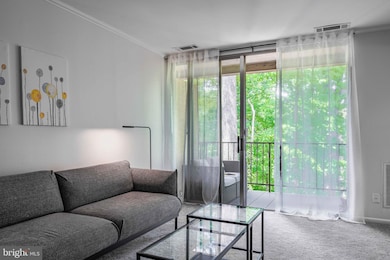 5065 7th Rd S unit 202, Arlington, VA 22204 - photo 7