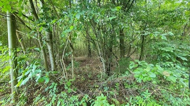 00 Union Grove Rd Lot 2 & 3 Photo 7