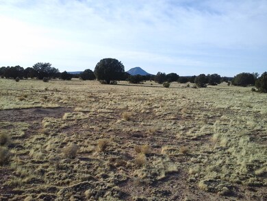 Lot 140 Juniperwood Ranch Unit 4, Ash Fork, AZ 86320 - photo 7