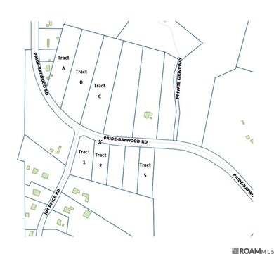 TBD Tract 2 Pride-Baywood Rd, Pride, LA 70770 - photo 4