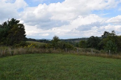 DSC_0039 (800x533)