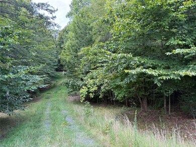 0 Woods Stream Ln unit 1203618, Asheboro, NC 27205 - photo 7