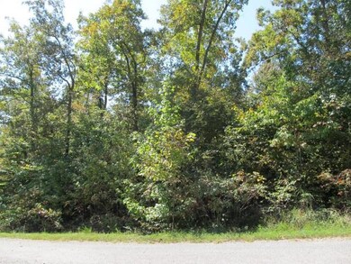 0 Southernaire Resort Rd, Stewart, TN 37175 - photo 4