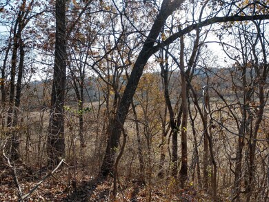 IMG_20191114_141916236_HDR - Copy
