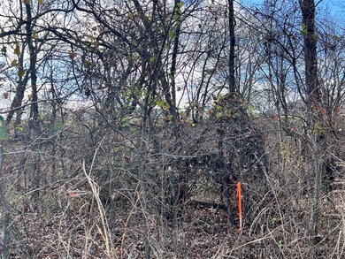 0 US Highway 77, Davis, OK 73030 - photo 5