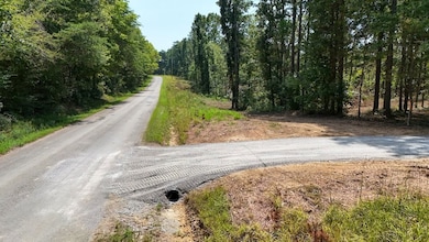 0 Richard Dorning Rd unit LotWP002 24538018, Kimmins, TN 38462 - photo 3