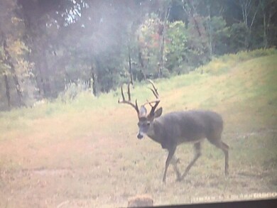 128 McClarity Fork Rd Pound Fork Rd, Branchland, WV 25506 - photo 5